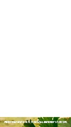 DMB_Portrait_1080x1920_SOUP_2016_03_23_044849.jpg